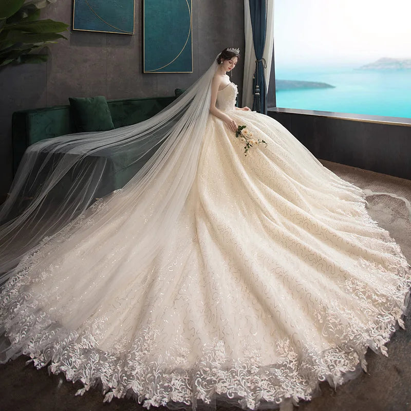 Elegant Long Train Bridal Gown With Veil